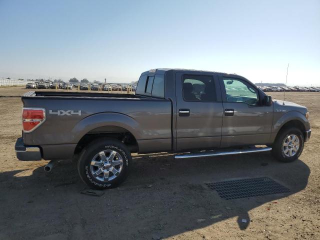 1FTFW1EF1DKE24017 - 2013 FORD F150 SUPER GRAY photo 3