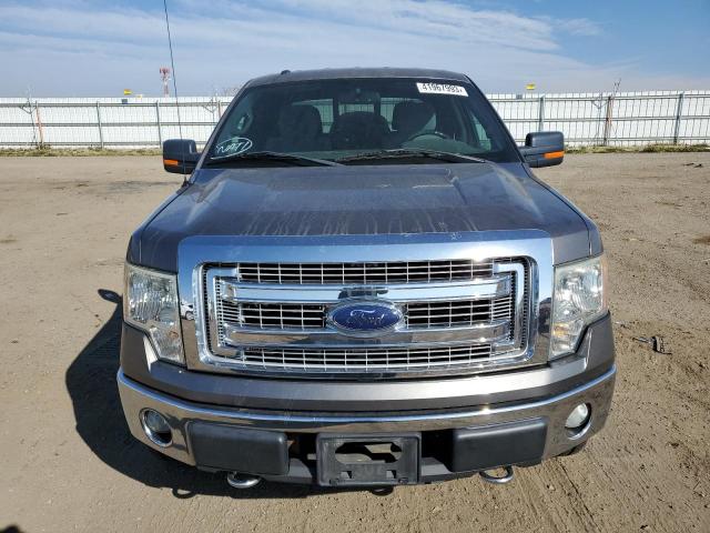 1FTFW1EF1DKE24017 - 2013 FORD F150 SUPER GRAY photo 5