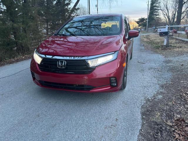 5FNRL6H57NB036097 - 2022 HONDA ODYSSEY EX RED photo 2