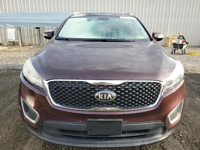 5XYPGDA52GG015406 - 2016 KIA SORENTO LX BURGUNDY photo 5