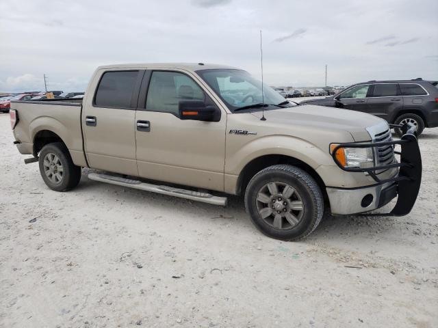 1FTEW1C83AFD32699 - 2010 FORD F150 SUPERCREW BEIGE photo 4