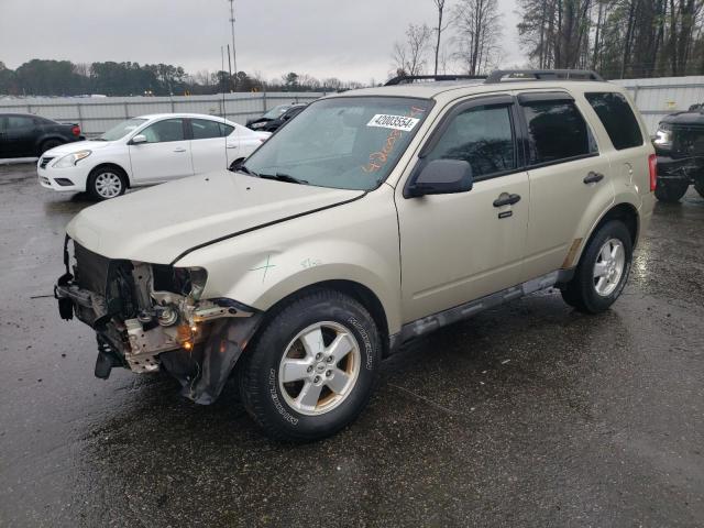 1FMCU0DG8BKC40246 - 2011 FORD ESCAPE XLT BEIGE photo 1