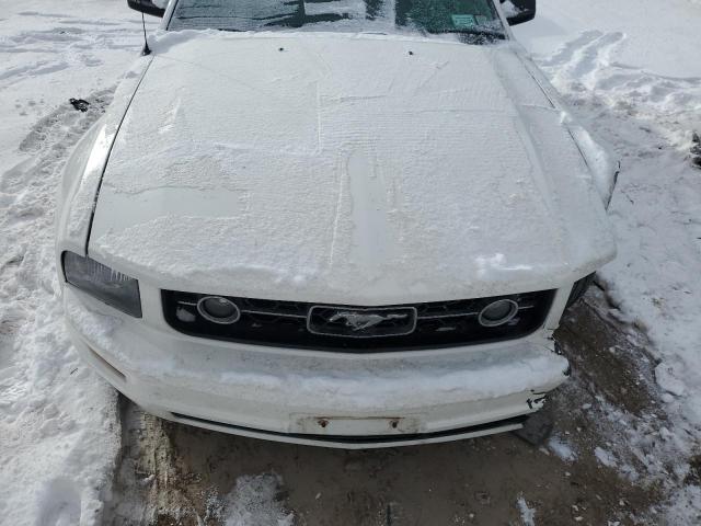 1ZVFT80NX65185498 - 2006 FORD MUSTANG WHITE photo 11