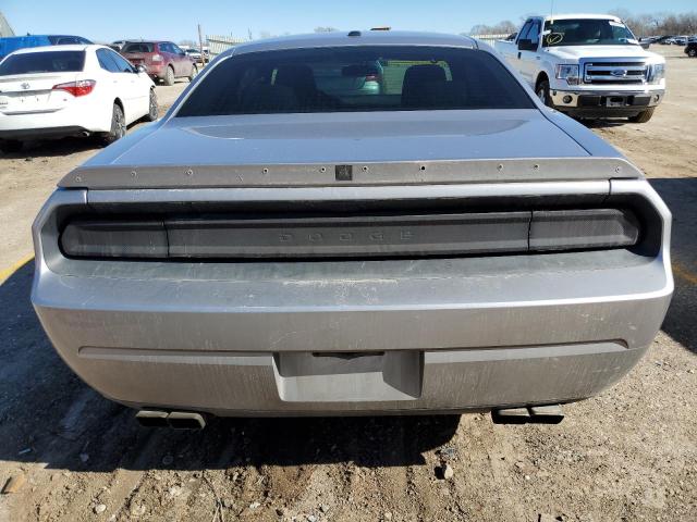 2C3CDYBT1EH258106 - 2014 DODGE CHALLENGER R/T SILVER photo 6