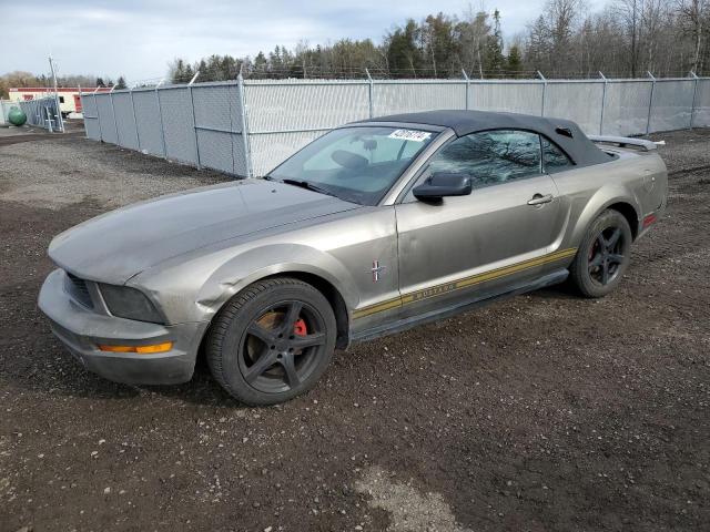 1ZVFT84N055221580 - 2005 FORD MUSTANG GRAY photo 1