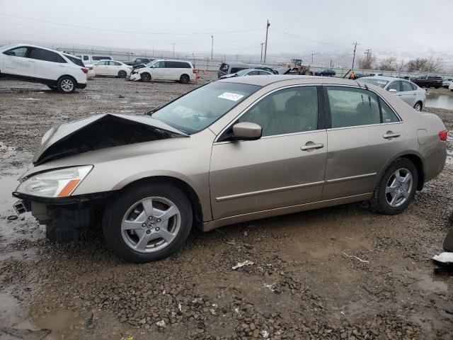 JHMCN36435C004543 - 2005 HONDA ACCORD HYBRID TAN photo 1