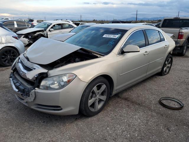 1G1ZC5E18BF384325 - 2011 CHEVROLET MALIBU 1LT TAN photo 1