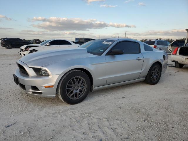 1ZVBP8AM2E5301736 - 2014 FORD MUSTANG SILVER photo 1