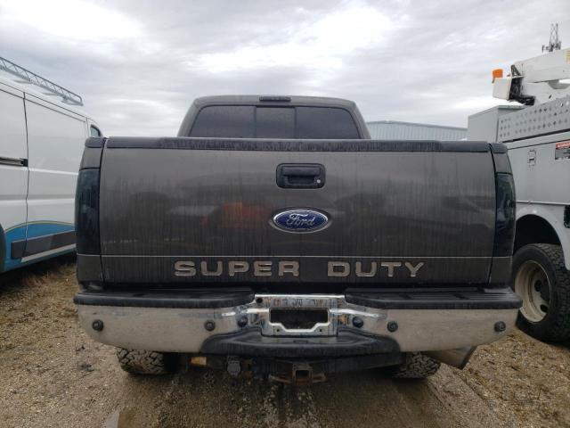 1FTWW31P17EB17783 - 2007 FORD F350 SRW SUPER DUTY BROWN photo 6