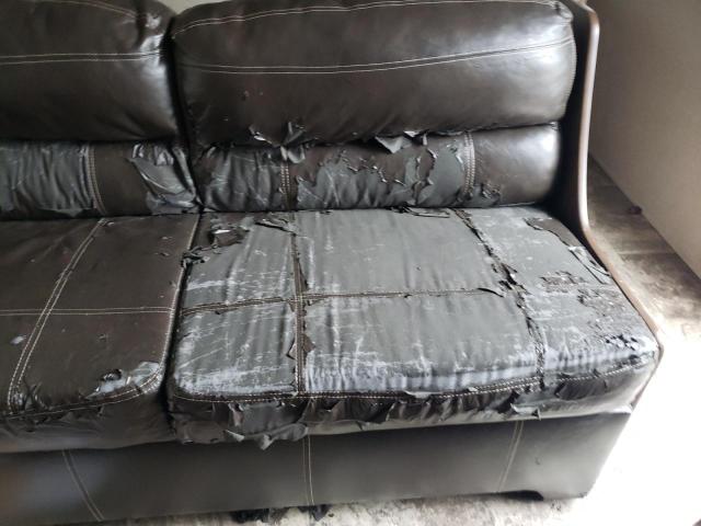 5SFPB2923HE329196 - 2017 HEART LAND PROWLER 双色 照片 9