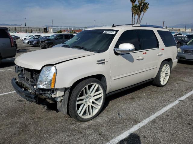 1GYS3CEF7DR156482 - 2013 CADILLAC ESCALADE PREMIUM WHITE photo 1