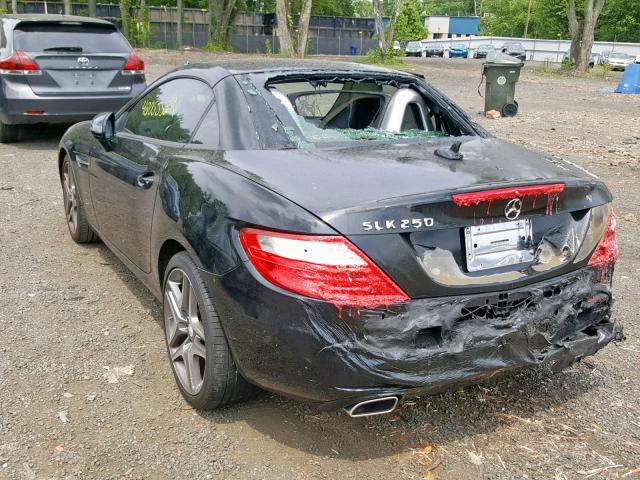 WDDPK4HA7EF078623 - 2014 MERCEDES-BENZ SLK 250  photo 3