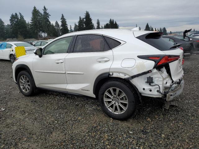 JTJDJRDZ1L5003943 - 2020 LEXUS NX 300H WHITE photo 2