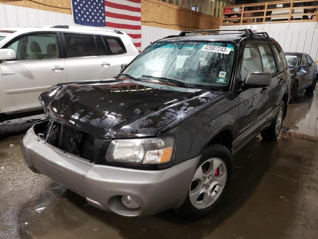 JF1SG65664H701529 - 2004 SUBARU FORESTER 2.5XS შავი ფოტო 1