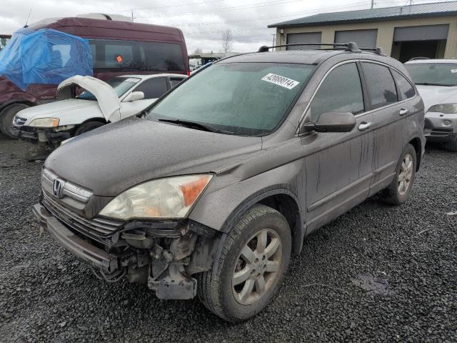 5J6RE48799L026085 - 2009 HONDA CR-V EXL BROWN photo 1