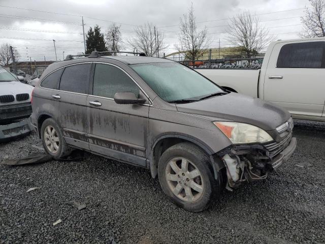 5J6RE48799L026085 - 2009 HONDA CR-V EXL BROWN photo 4