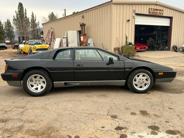 SCCFC20AXJHF62367 - 1988 LOTUS ESPRIT SE BLACK photo 4