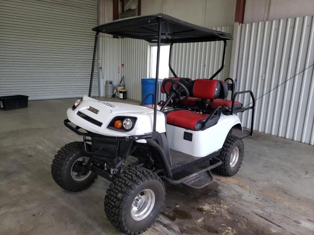 3029729 - 2015 EZ GOLFCART WHITE photo 2