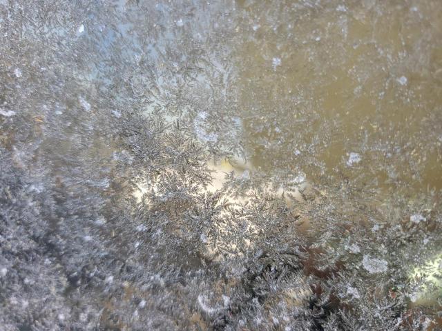 5YJSA1E25HF230927 - 2017 TESLA MODEL S BLACK photo 8