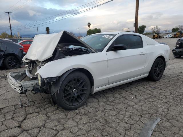 1ZVBP8AM0E5288582 - 2014 FORD MUSTANG WHITE photo 1