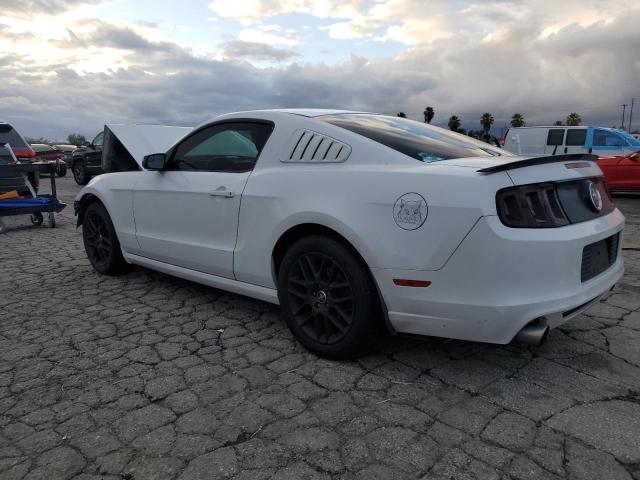 1ZVBP8AM0E5288582 - 2014 FORD MUSTANG WHITE photo 2