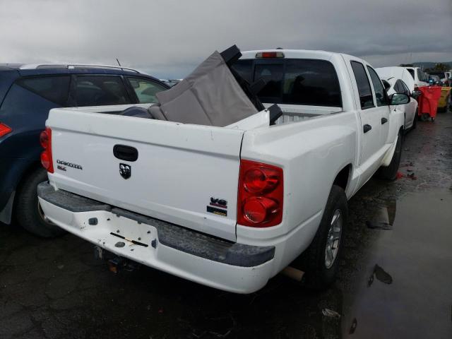 1D7HW48P57S151513 - 2007 DODGE DAKOTA QUAD SLT أبيض صورة 3