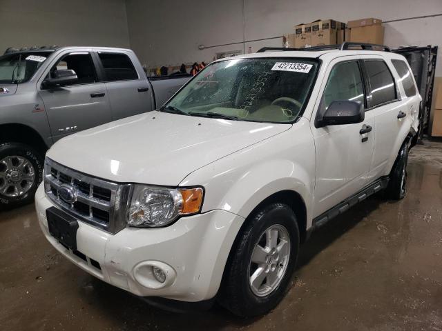 2009 FORD ESCAPE XLT, 