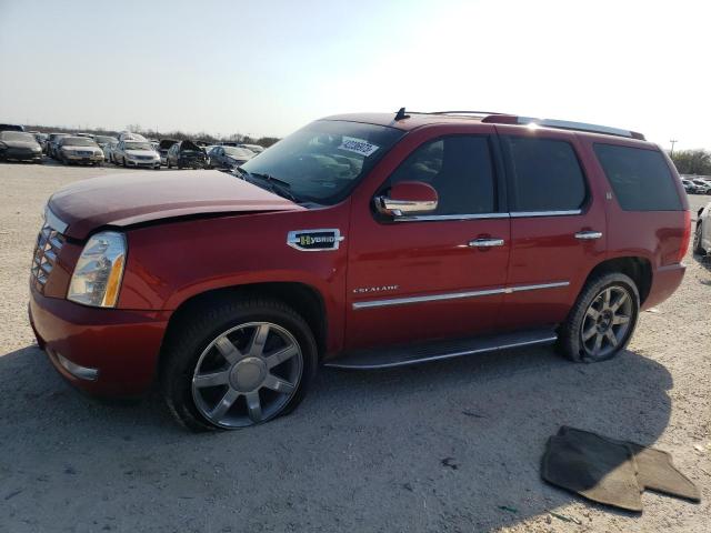 1GYS3EEJ6DR119391 - 2013 CADILLAC ESCALADE HYBRID RED photo 1