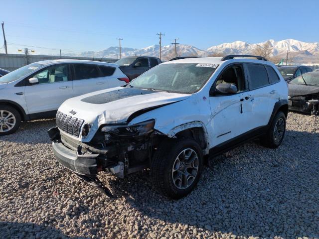 1C4PJMBX9LD570492 - 2020 JEEP CHEROKEE TRAILHAWK WHITE photo 1