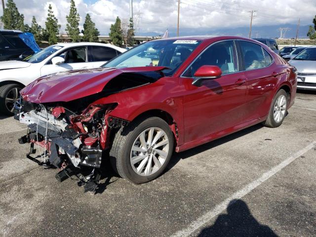 4T1C11AK6MU575262 - 2021 TOYOTA CAMRY LE BURGUNDY photo 1