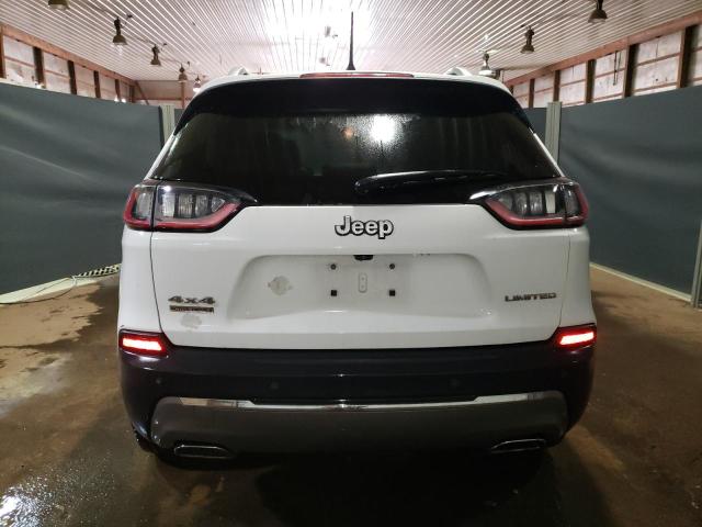 1C4PJMDN2KD142662 - 2019 JEEP CHEROKEE LIMITED WHITE photo 6