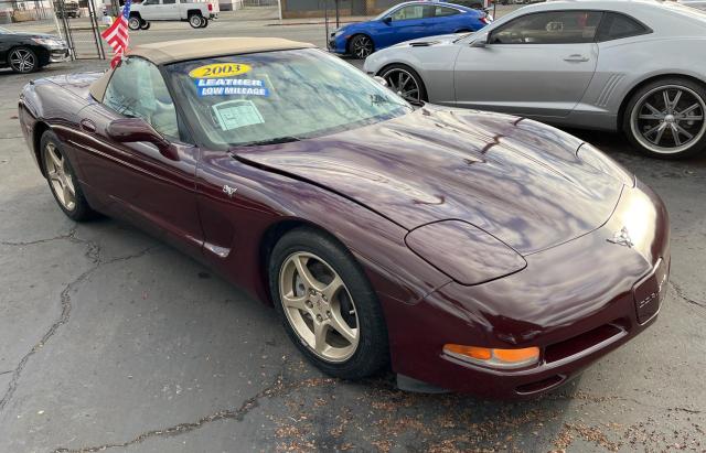 1G1YY32G735122037 - 2003 CHEVROLET CORVETTE BURGUNDY photo 1