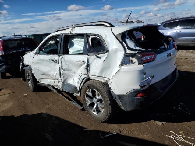 1C4PJMBB8EW162285 - 2014 JEEP CHEROKEE TRAILHAWK Ağ foto 2