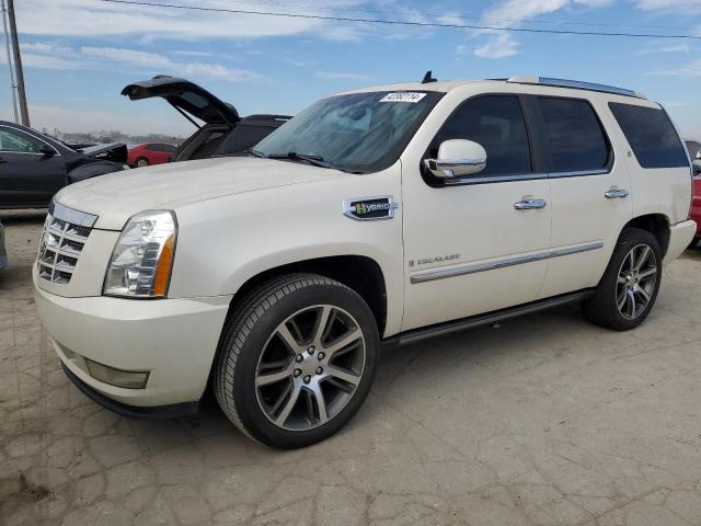 1GYFC43559R234993 - 2009 CADILLAC ESCALADE HYBRID WHITE photo 1