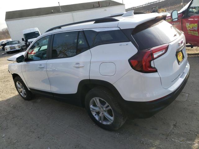 3GKALTEG3RL110645 - 2024 GMC TERRAIN SLE WHITE photo 2