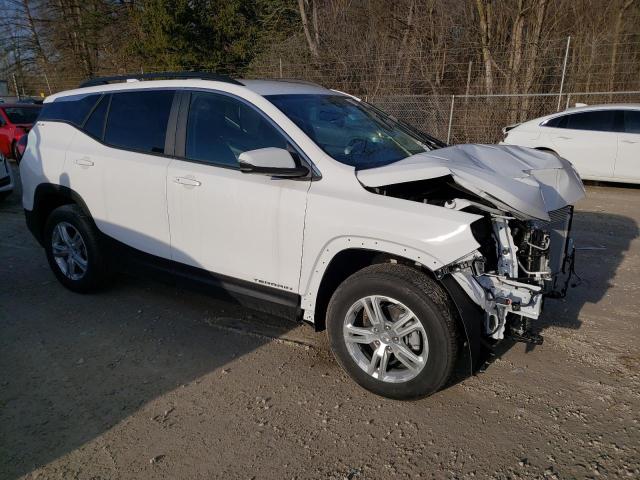 3GKALTEG3RL110645 - 2024 GMC TERRAIN SLE WHITE photo 4