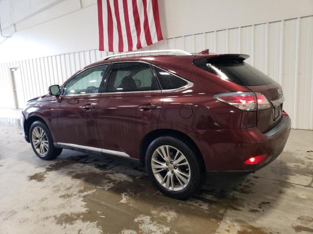 2T2ZK1BA3EC135978 - 2014 LEXUS RX 350 BURGUNDY photo 2