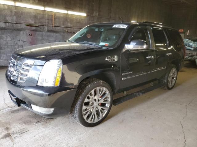 2010 CADILLAC ESCALADE PREMIUM, 