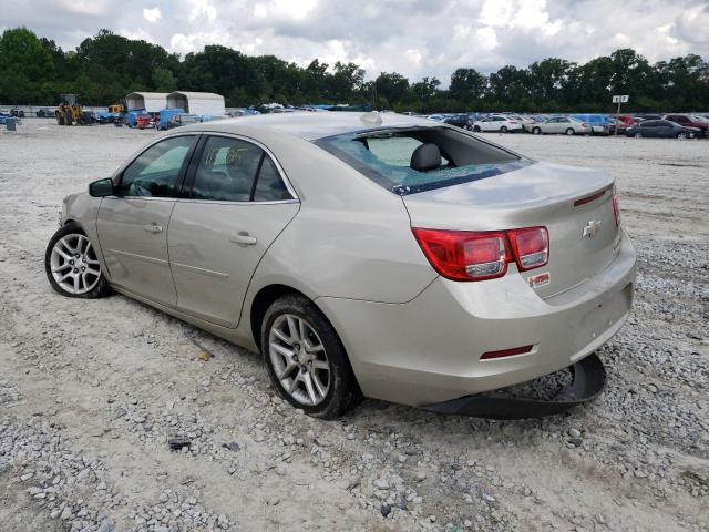 1G11C5SL2EF134845 - 2014 CHEVROLET MALIBU 1LT GOLD photo 3