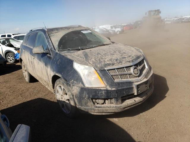 3GYFNBEY1AS605283 - 2010 CADILLAC SRX PERFORMANCE COLLECTION Қара фото 4