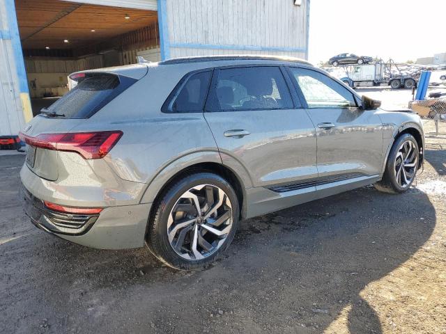 WA16AAGE5RB057448 - 2024 AUDI Q8 E-TRON PRESTIGE GRAY photo 3