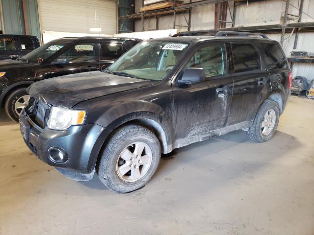 2009 FORD ESCAPE XLT, 