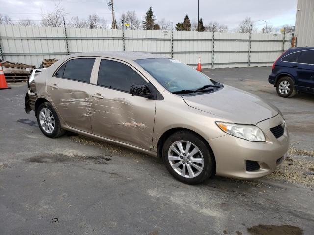 1NXBU40E89Z055264 - 2009 TOYOTA COROLLA BASE GOLD photo 4