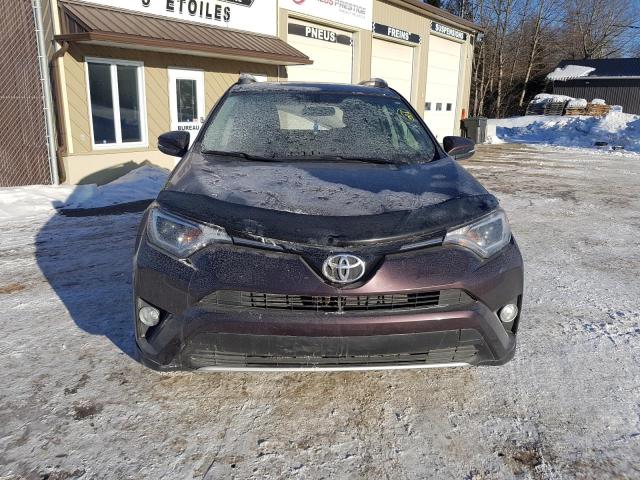 2T3RFREV7GW515968 - 2016 TOYOTA RAV4 XLE PURPLE photo 5