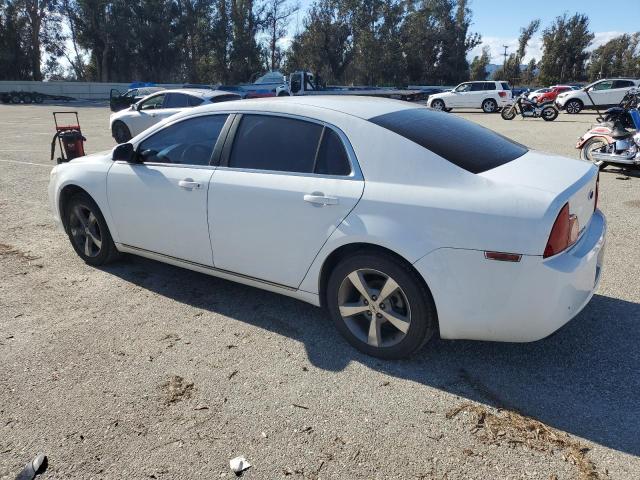 1G1ZC5E13BF134555 - 2011 CHEVROLET MALIBU 1LT 白色 照片 2