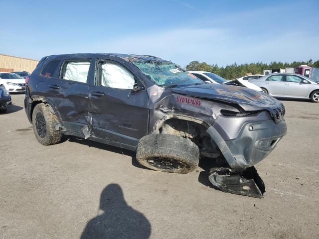 1C4PJMBX4KD463347 - 2019 JEEP CHEROKEE TRAILHAWK GRAY photo 4