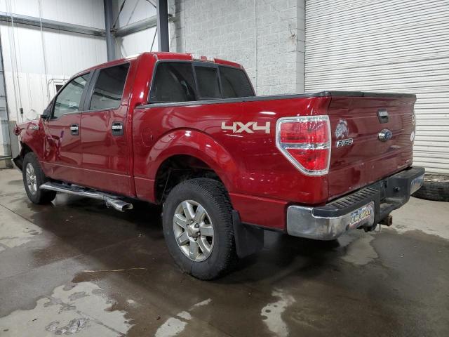 1FTFW1EF6EKE83842 - 2014 FORD F150 SUPERCREW RED photo 2