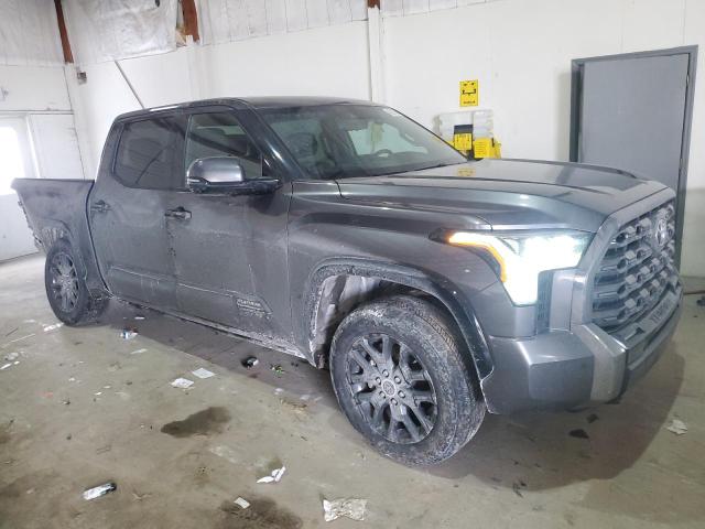 5TFNA5DBXPX120272 - 2023 TOYOTA TUNDRA CREWMAX PLATINUM ნაცრისფერი ფოტო 4