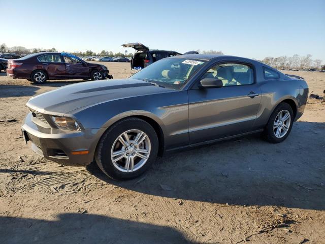 1ZVBP8AM4B5112582 - 2011 FORD MUSTANG GRAY photo 1