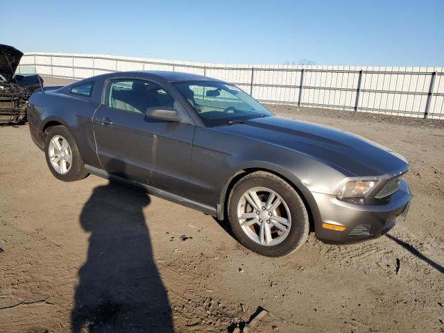 1ZVBP8AM4B5112582 - 2011 FORD MUSTANG GRAY photo 4